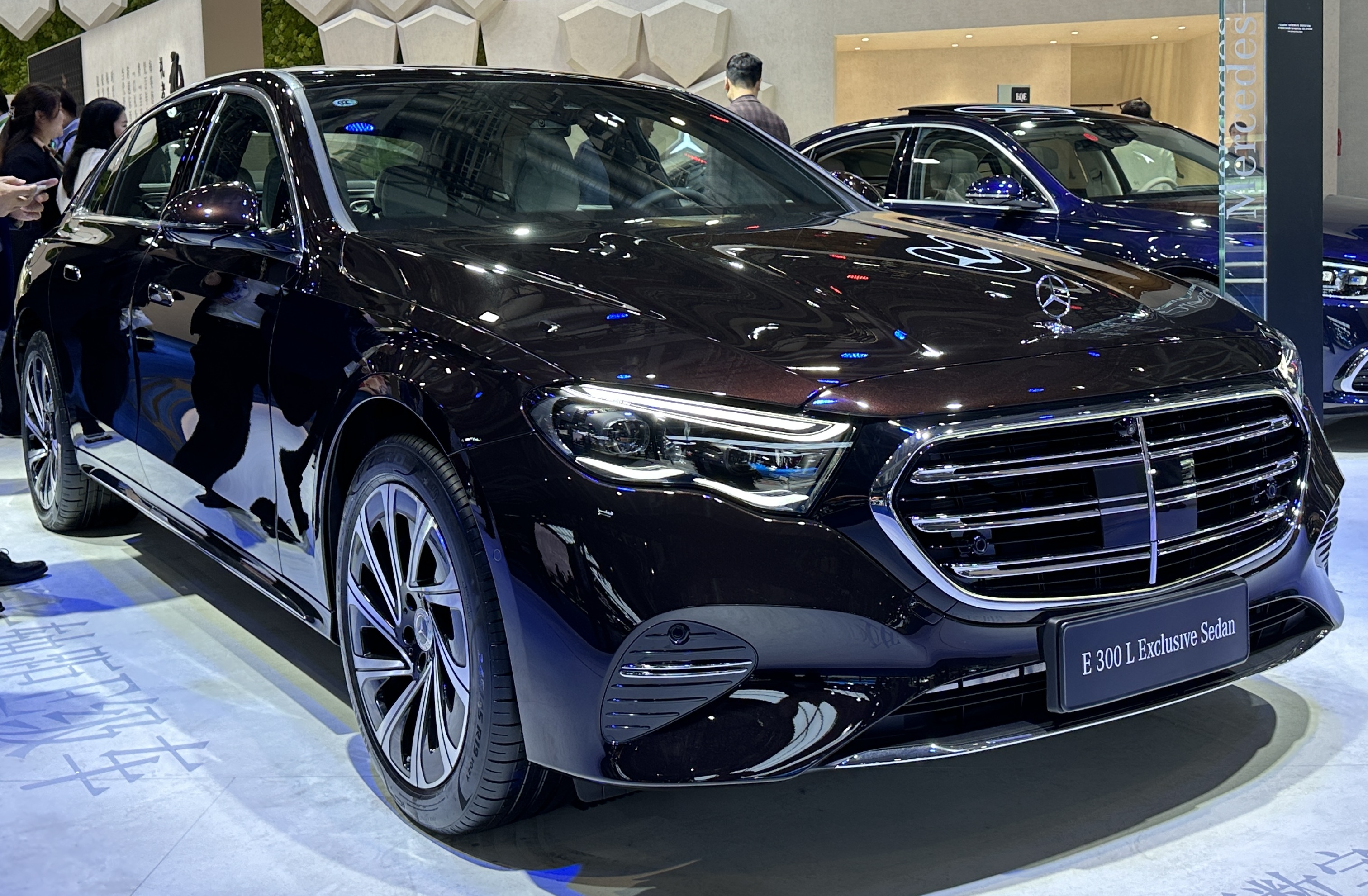 Professional chauffeur service